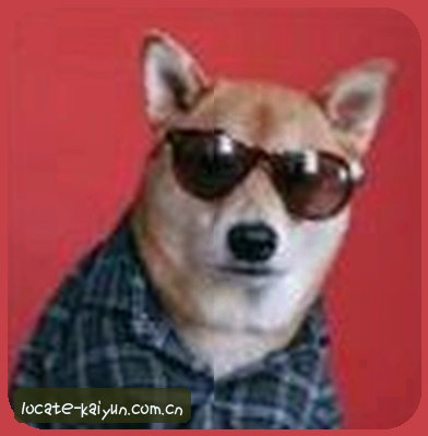 郑宇
